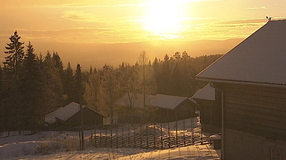Bedårande vackert vinterväder (om än lite ont om snö) i Fryksås i norra Dalarna den 23 december.
