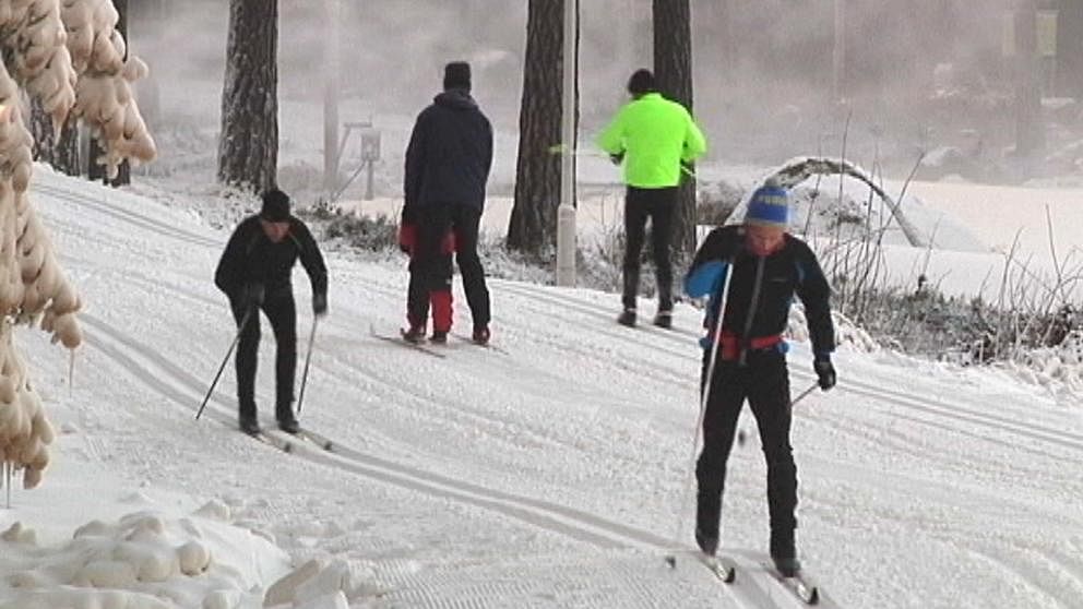 Till glädje för många gjorde kyla och snö det möjligt att ta på sig skidorna även i Sydsverige. Så här såg det ut i Svartbäcksmåla utanför småländska Nybro den 29 december.