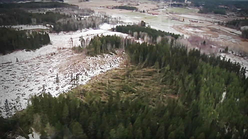 Flygbild över stormskadad skog nära Hudiksvall efter stormen Dagmar 2011.