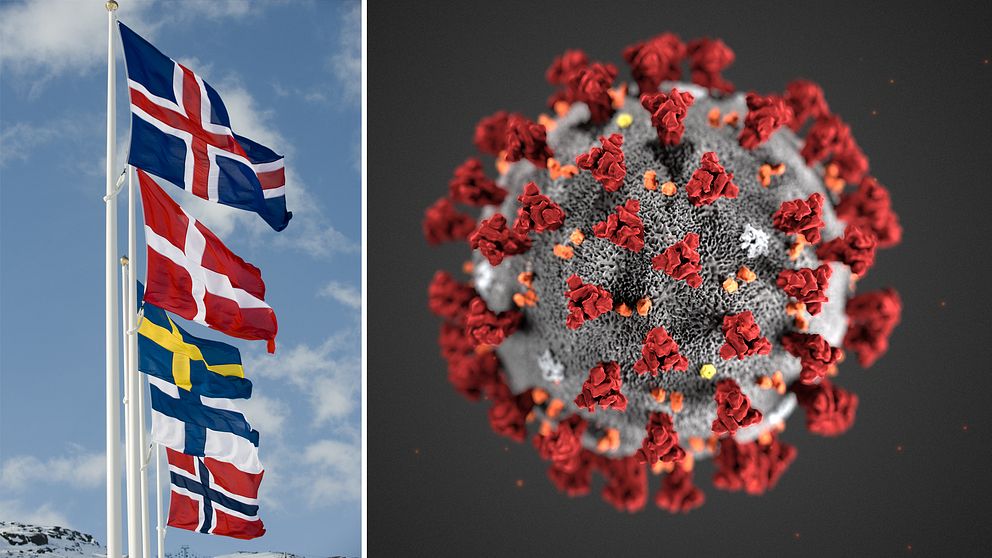 Skillnaderna mellan hur myndigheterna i respektive nordiskt land hanterar coronaviruset är små.