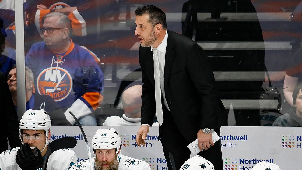 San Jose-tränaren Bob Boughner.