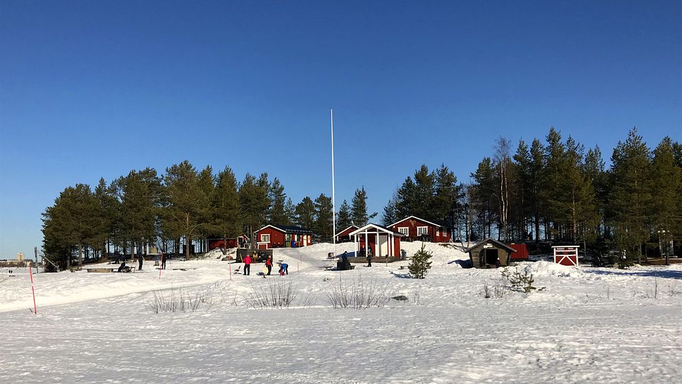 Gråsjälören i Luleå vintertid