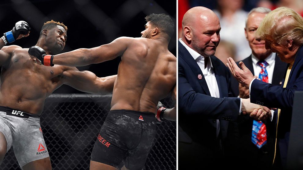 Vänster: Tungviktarna Francis Ngannou och Alistair Overeem har båda fått matcher inställda. Höger: UFC:s Dana White har nära band till president Donald Trump.