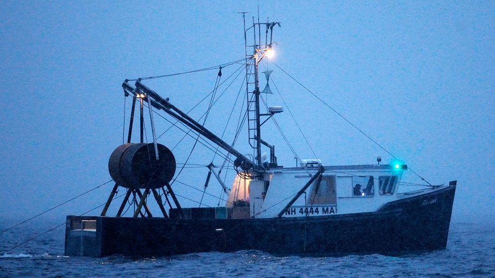Svenska fiskare landade 1165 ton räkor under 2014.