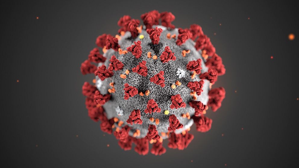 En modell av coronaviruset.