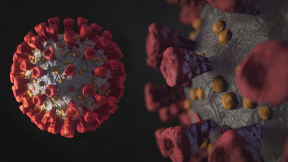 Grafiska bilder på koronavirus i förstoring.