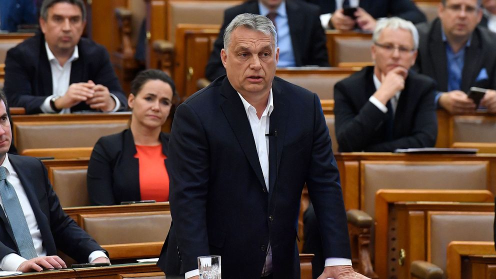 Trycket ökar på Ungerns premiärminister Victor Orbán efter Erdogans ja till Sverige i Nato.