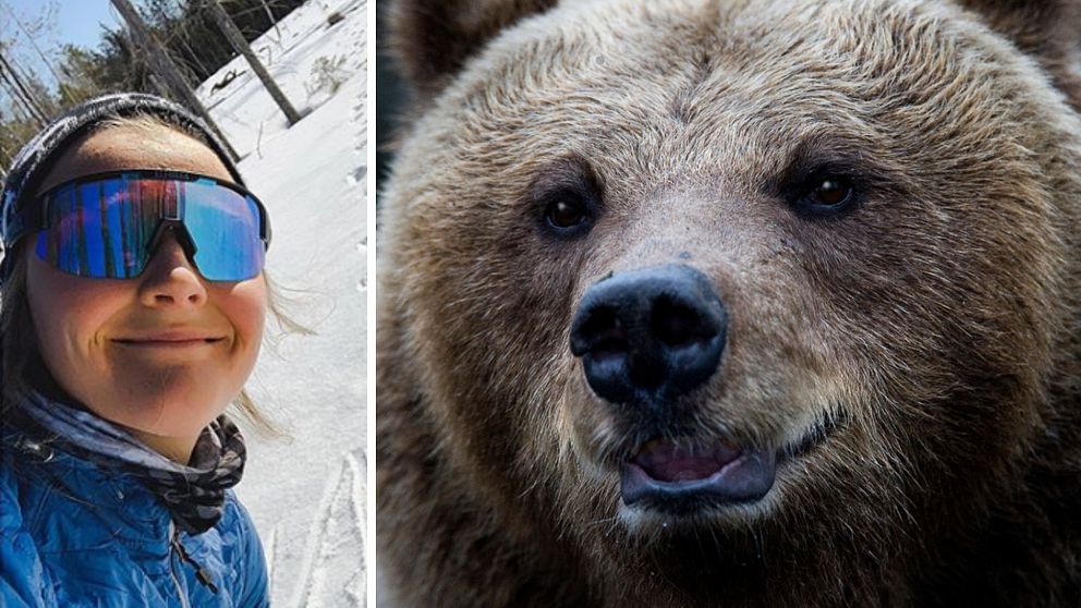 selfie med Stina Nilsson, björnspår i snön i bakgrunden, samt genrebild på en björn