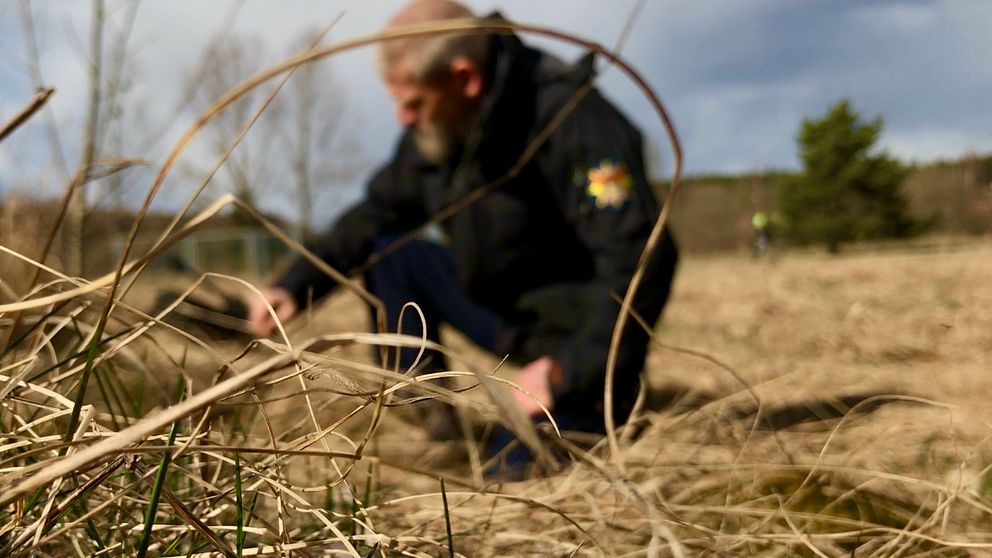 Torrt fjolårsgräs gör att gräsbrandrisken nu är hög i Västmanland