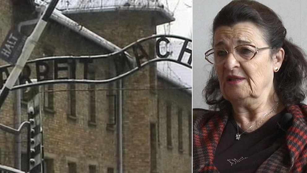 När Hania Rosenberg var sju år gammal fördes hon och hennes mamma till ett ghetto i närheten av koncentrationslägret i Auschwitz.