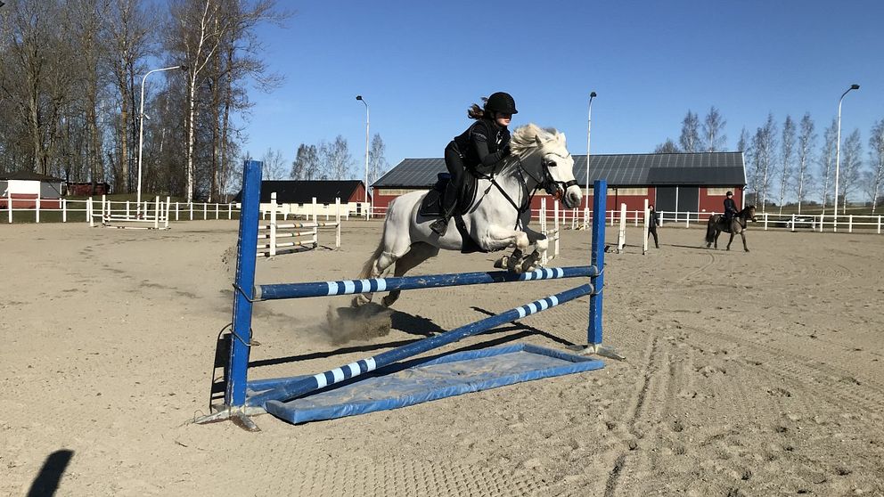 Izabelle Åkesson hopptränar i Kumla med ponnyn Misty.