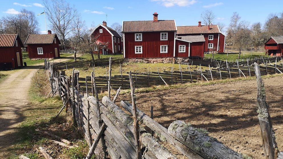 Stensjö by utanför Oskarshamn har varit ett populärt besöksmål under coronavåren 2020 och haft ovanligt många besökare redan i mars månad.
