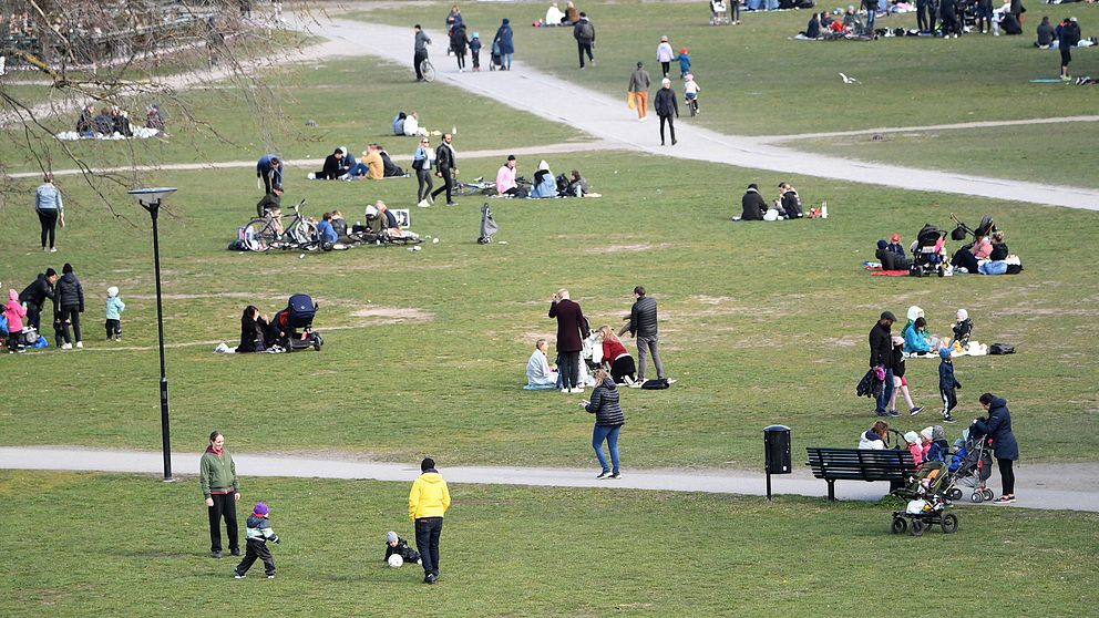 Grupper av människor vistas i Rålambshovsparken i Stockholm i april 2020.