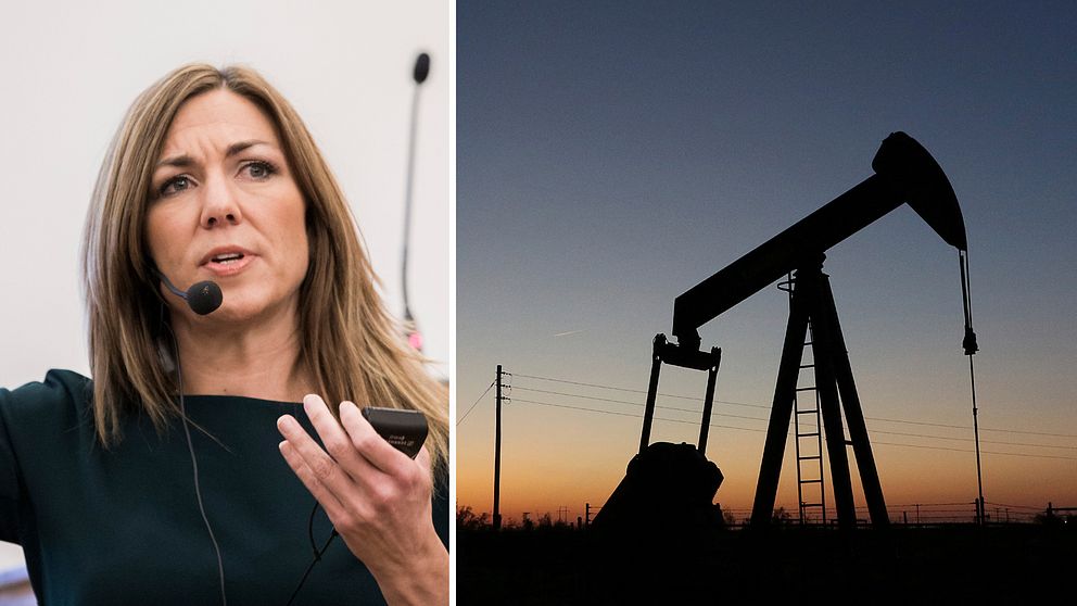”Vi kan förväntas oss att oljepriset kan ligga på låga nivåer ett tag”, säger Thina Saltvedt (t.v), oljeanalytiker på Nordea, till TT.