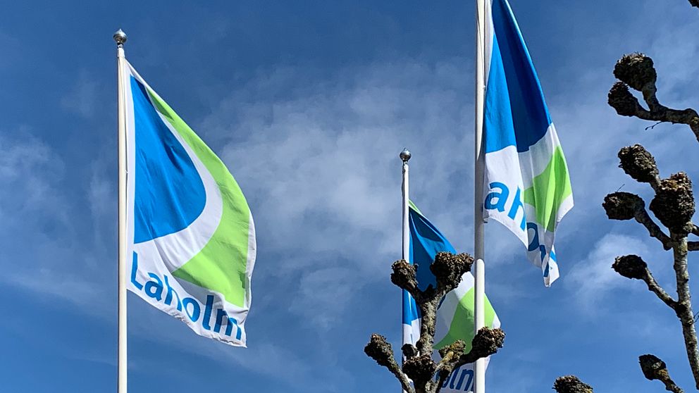 funktionsnedsatt-elev-f-r-r-tt-efter-fem-r-erk-nner-laholms-kommun