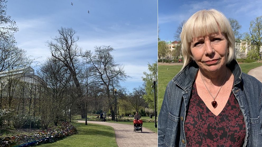 Till vänster Trädgårdsföreningen under våren och till höger Linda Nygren, direktör Park-och naturförvaltningen Göteborgs stad.