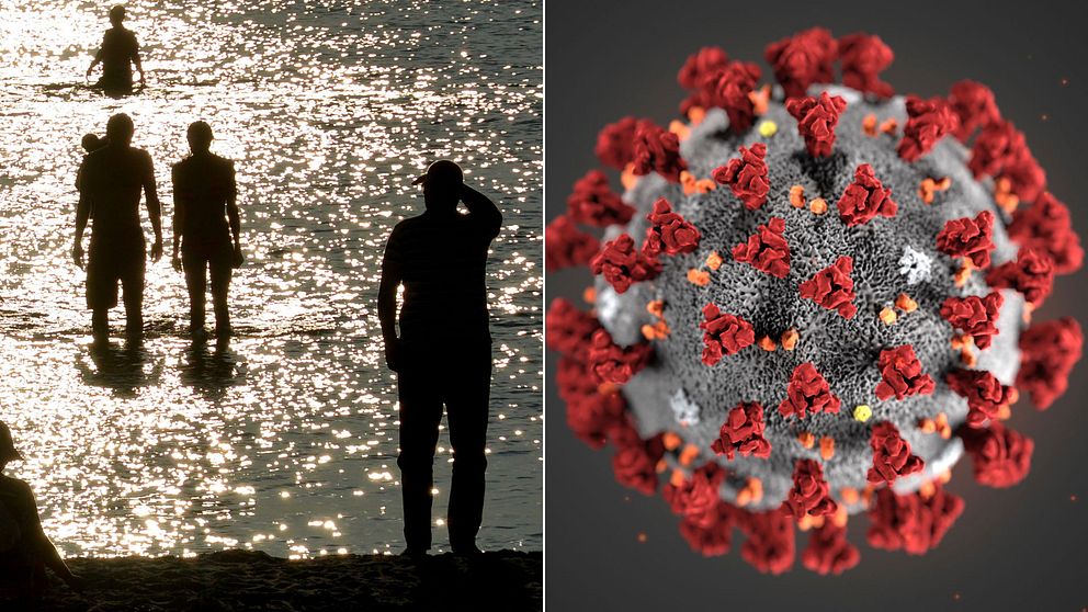 Badande samt coronavirus i förstoring