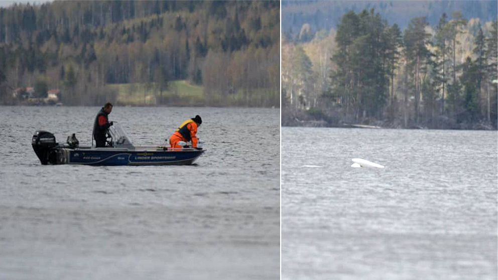 Båt på sjön Öjen