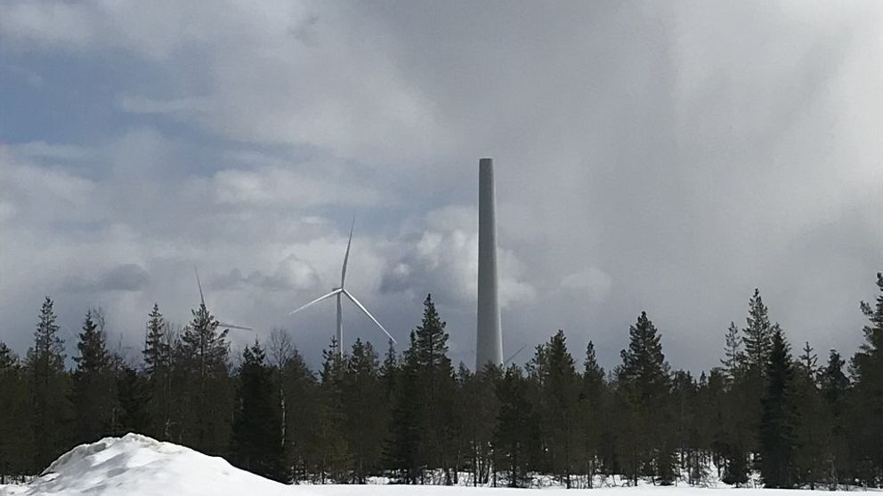 Tornet efter vindkrafthaveriet sticker upp ur en skog.