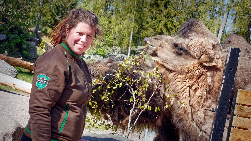 Natalie Magnusson, djurchef i Furuviksparken.