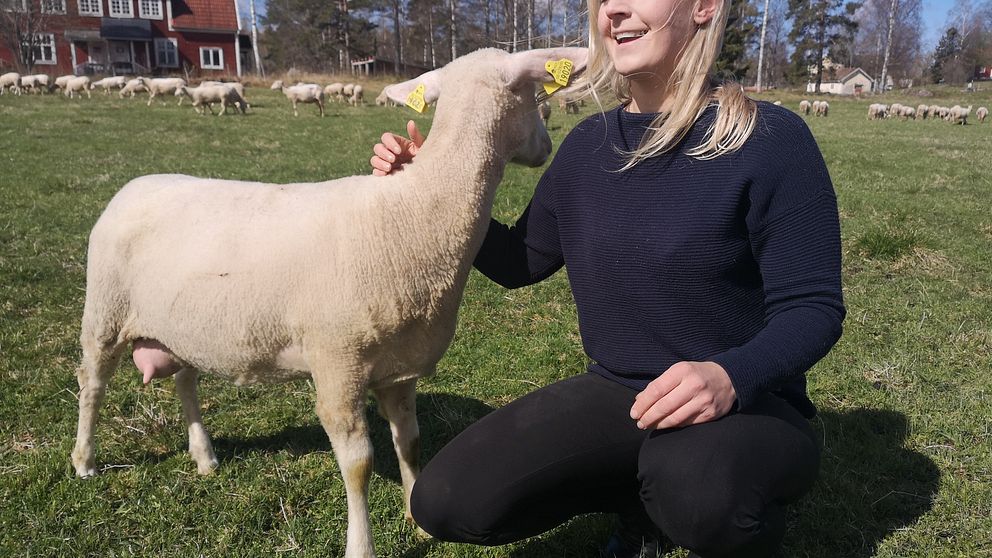 Lantbrukaren Sara Staffare sitter i gräset, ler och klappar ett får.