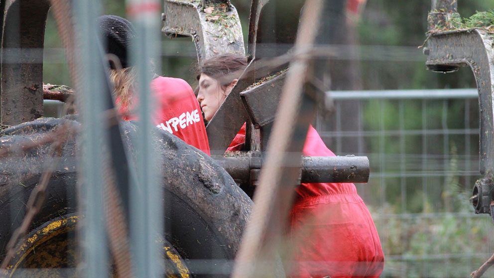 Aktivister vid skogsmaskinerna i Ojnareskogen. Foto: Ludvig Tillman/Greenpeace