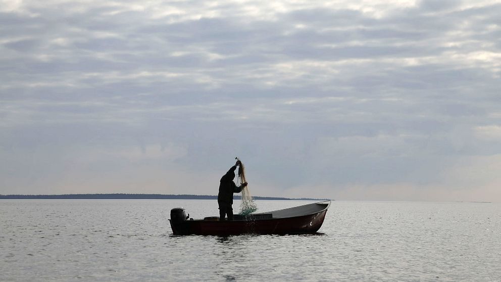 Åke Åström fiskar från en båt på öppet hav i Luleå skärgård
