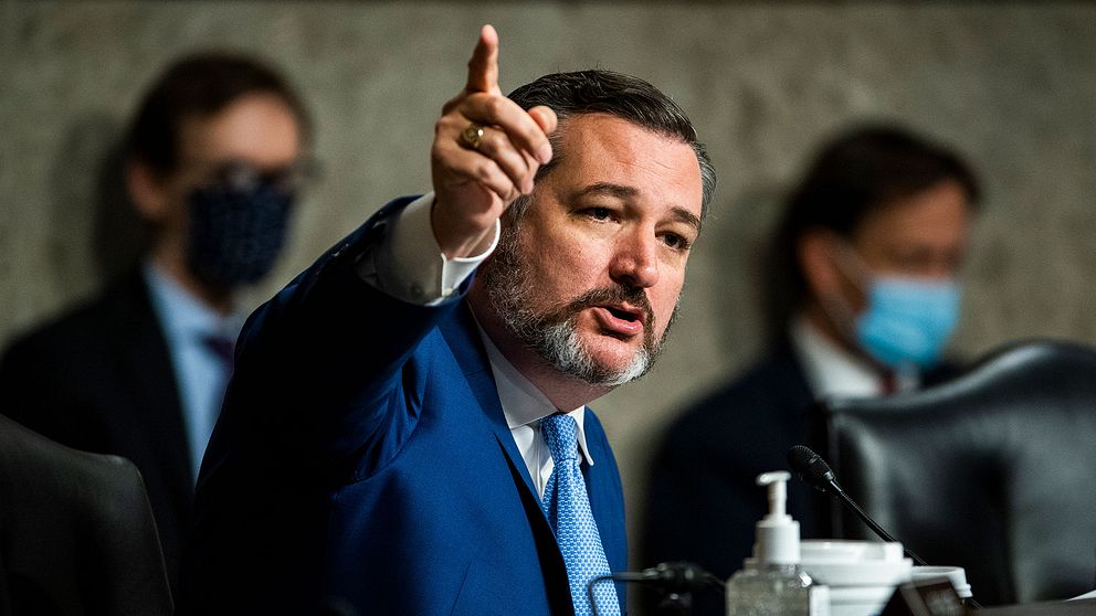 Republikanernas senator Ted Cruz från Texas.