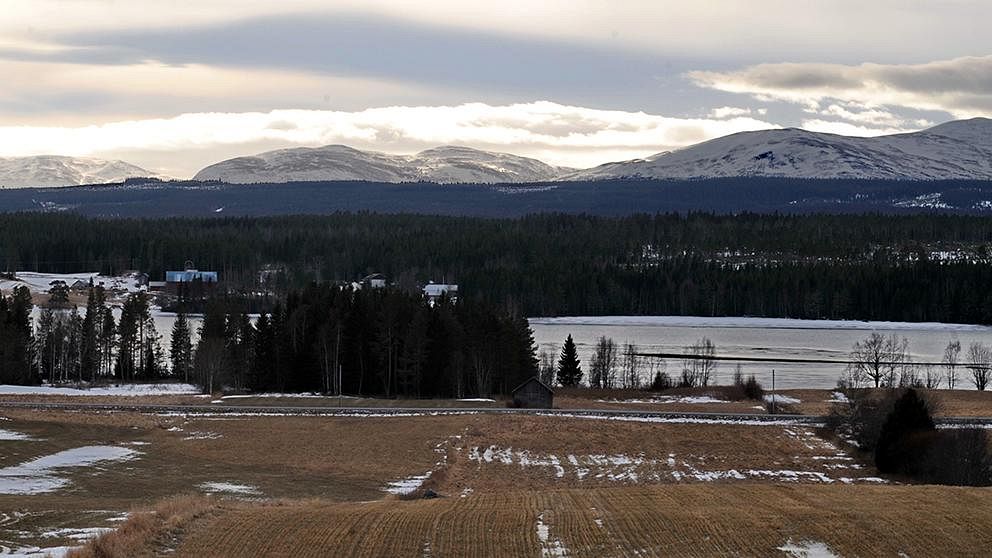 Februarivärmen gick hårt åt snötäcket i delar av jämtland. Så här såg det ut i Kvitsle den 28 februari.