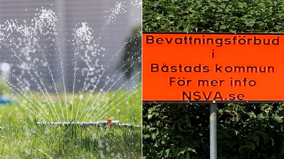 Påbudskylt om bevattningsförbud i Båstads kommun bredvid en vattenspridare på en gräsmatta.