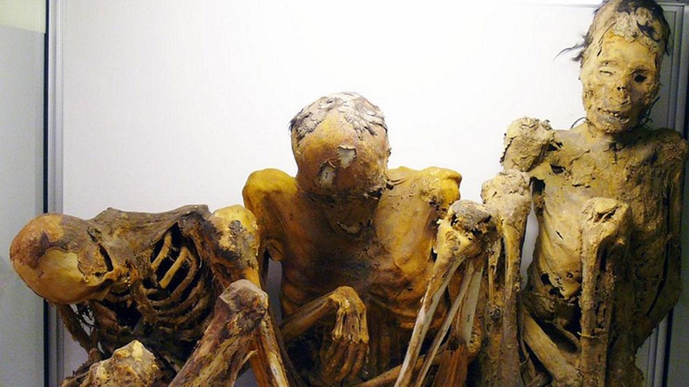 De tusenåriga mumierna som återfanns i Oslo.