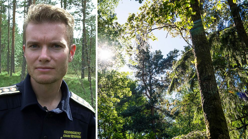 Johan Szimanski, räddningsledare Mora räddningstjänst och ett träd i skogen.