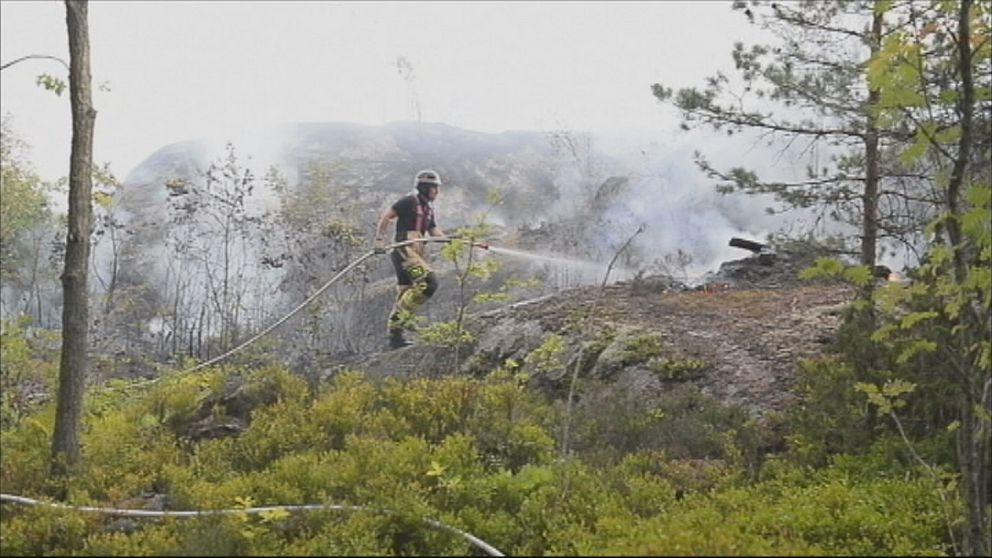 brandman som försöker släcka skogsbrand.