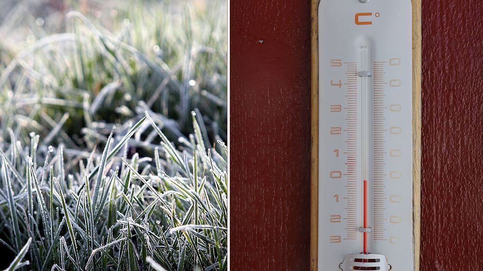 Temperaturen kröp ner till minus 3,3 grader natten till fredagen i Latnivaara.