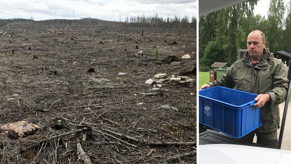 Bilden är ett collage med lodrät avskiljare. Vänster del: Ett grått brandhärjat landskap. Höger del: Foto på Marco Hassoldt som lastar en bil.