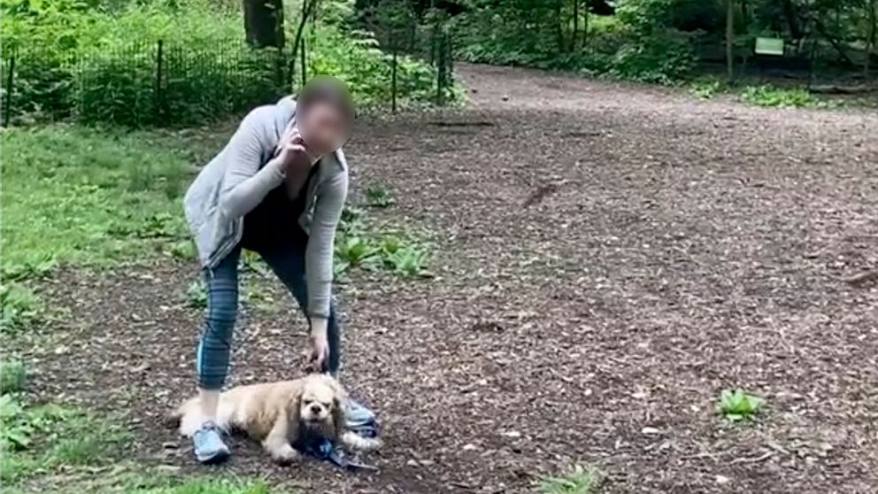 En kvinna ringde polisen och sade sig hotad till livet när en man bad henne koppla sin hund i Central park i New York.