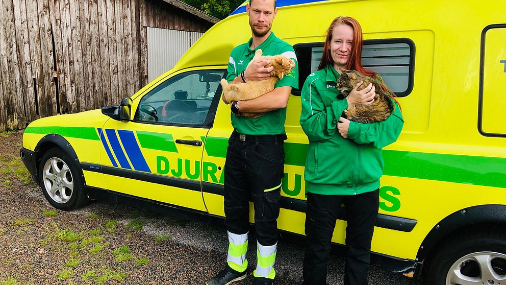 En man och en kvinna står med varsin katt i famnen framför en ambulans med texten djurambulans.