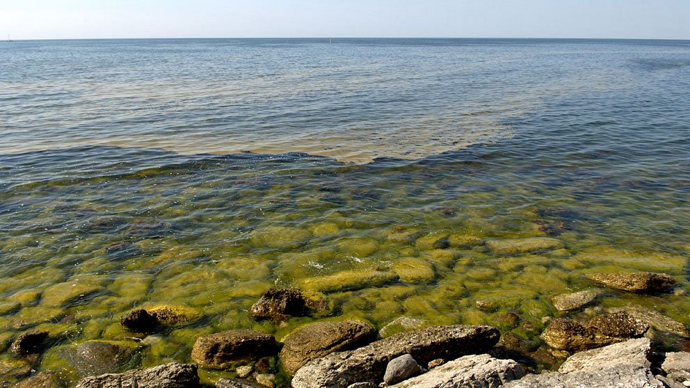 Östersjön. Foto: Scanpix