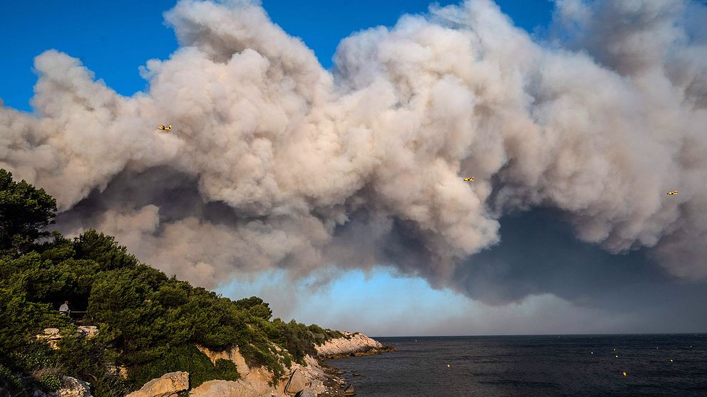 Flygplan vattenbombar skogsbränder i Marseille.