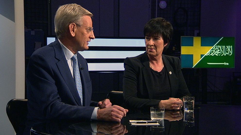 Carl Bildt och Mona Sahlin möttes i söndagens Agenda