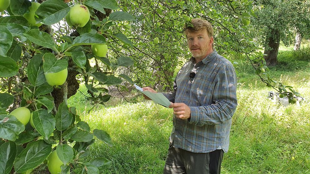 Johan Levander, landskapsingenjör i Norrköping