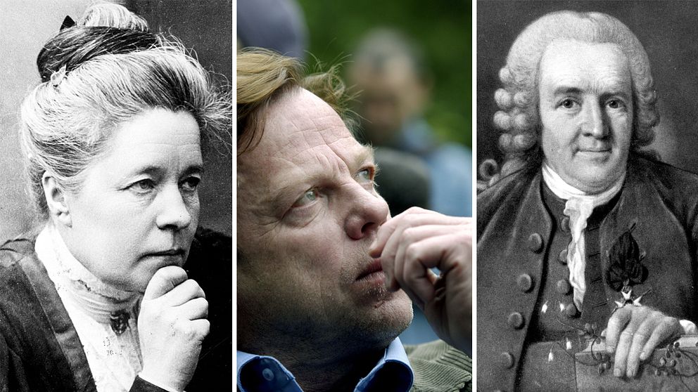 Selma Lagerlöf, Krister Henriksson som Kurt Wallander och Carl von Linné