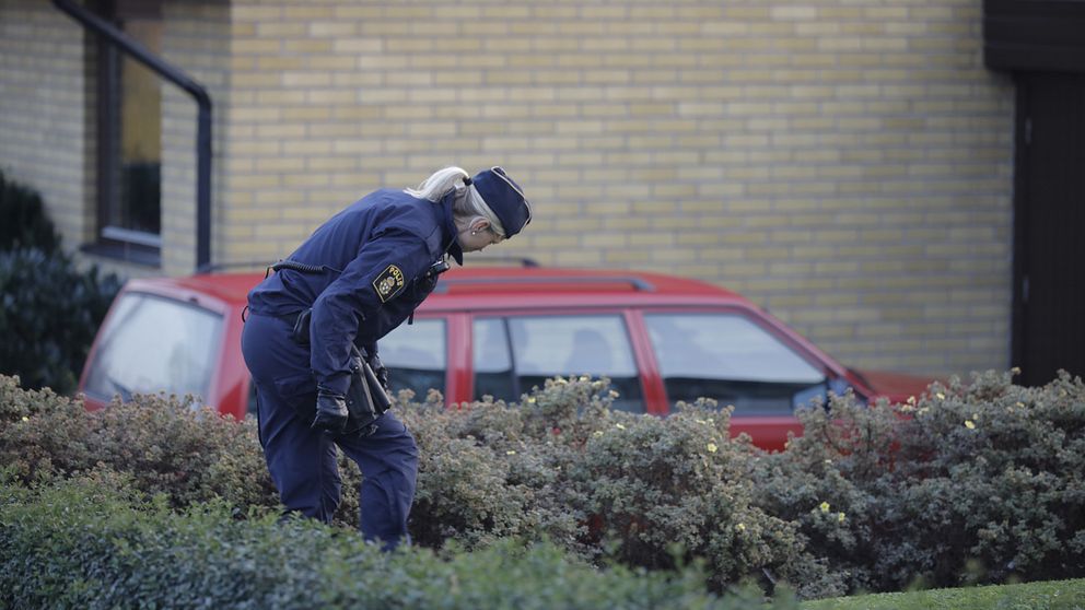 Polis genomsöker en buske. Bilden är tagen vid ett annat tillfälle.