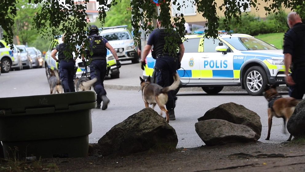 Poliser med polishundar i Rinkeby.