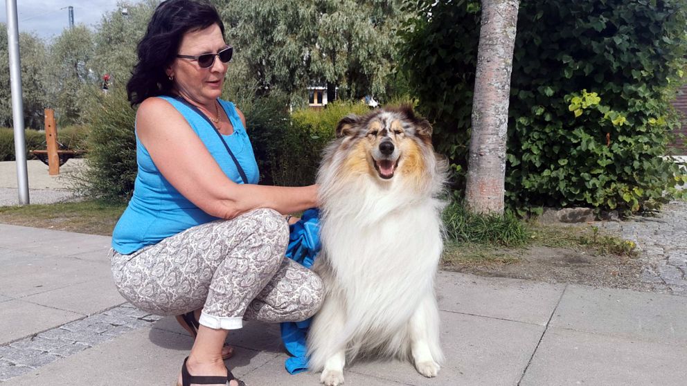 Margaretha Carlsson, Västernorrlands kennelklubb med hunden Kevin.