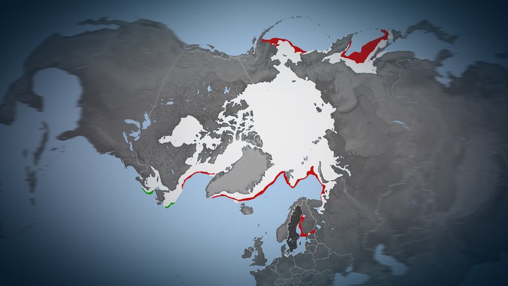 Isens maximala utbredning den här säsongen jämfört med medelvärdet. Rött indikerar mindre, grönt mer.