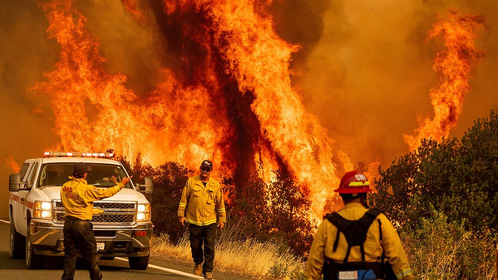 Bränderna i Kalifornien fortsätter. De två största bränderna som nu rasar är den andra, respektive den tredje, största i delstatens historia. Bilden visar brandmän som arbetar med en av bränderna som härjar i Kalifornien.