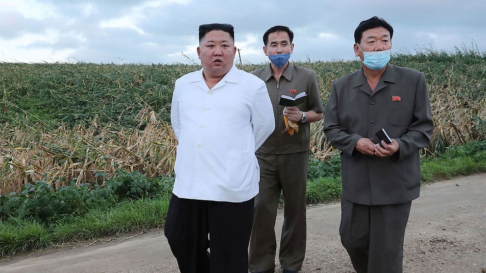 Senaste bilden av Nordkoreas ledare Kim Jong-Un som distribuerats av statliga nyhetsbyrån KCNA. Kim uppges besöka Södra Hwanghae-provinsen som drabbats av tyfoner.