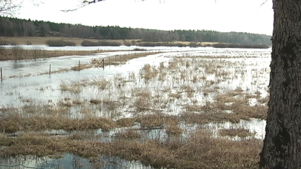 Översvämmade fält och åkrar utanför Storvreta norr om Uppsala i Uppland den 10 mars.