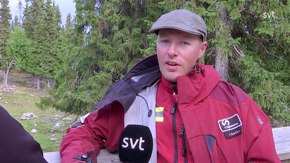 en man intervjuas vid hägnet, skog i bakgrund